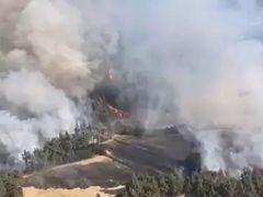 Balıkesir Dursunbey’de yangın ormana sıçradı!