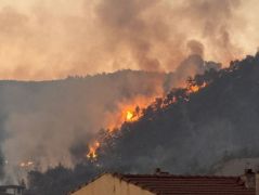 Bilecik’te orman yangını sürüyor!
