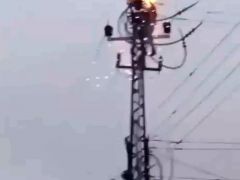 Kuvvetli rüzgar elektrik direğini devirdi inekler akıma kapılıp öldü!