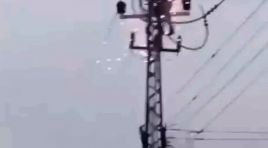 Kuvvetli rüzgar elektrik direğini devirdi inekler akıma kapılıp öldü!