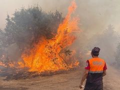 Orman-İş Genel Başkanı Yusuf Kurt, ‘Eğitim vermeden sahaya sürdüler!