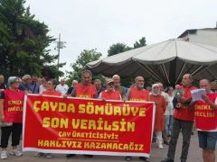 Rize’de çay fabrikasına yürümek isteyen üreticilere polis izin vermedi…