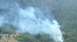 Bolu’da ormanlık alanda yangın…