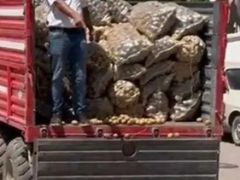 Maalesef bizleri tarımsal üretimden uzaklaştırmak için ellerinden geleni yapıyorlar…