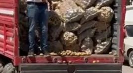 Maalesef bizleri tarımsal üretimden uzaklaştırmak için ellerinden geleni yapıyorlar…