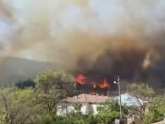 Çanakkale’de orman yangını