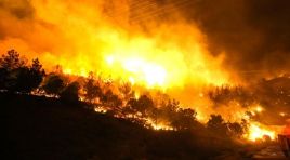 Mersin’de orman yangını…