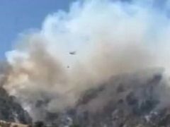 Denizli’deki orman yangını 4’üncü gününde