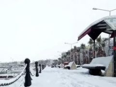 Dünya Meteoroloji Örgütü: Eylülde ‘La Nina’ başlayacak