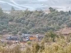 Nejla Işık “Bu zeytinler hepimizin geleceği…