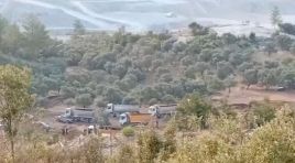 Nejla Işık “Bu zeytinler hepimizin geleceği…