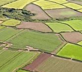 Özelleştirmede son on yılın rekoru!