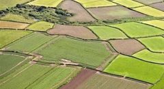 Özelleştirmede son on yılın rekoru!