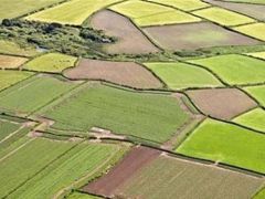 Atıl tarım Arazileri Boş Kalmayacak: 1 Eylül’de Yeni Dönem Başlıyor!