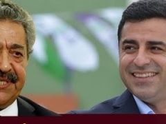 MHP’li Feti Yıldız’dan ‘Selahattin Demirtaş’ açıklaması