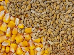 Erhan Adem, 1 milyon ton ithalat, binlerce çiftçinin iflası demektir