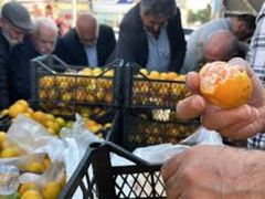 Mandalinada tarla fiyatı 2 TL’ye kadar düşünce vatandaşlara ücretsiz dağıttı