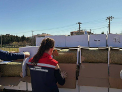 Tekirdağ’da aflatoksinli Antep fıstığı imha edildi…