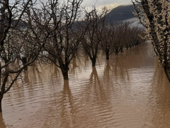Antalya’da dereler taştı, tarım alanları su altında