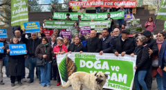 Eskişehir Doğa ve Yaşam Platformu, Yeşilliğimiz her şeyimiz Cengiz Holding’e vermeyiz