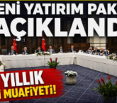 Yeni yatırım paketi, Dev şirketlere 20 yıl vergi muafiyeti…