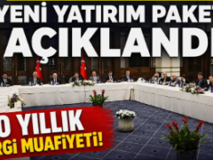 Yeni yatırım paketi, Dev şirketlere 20 yıl vergi muafiyeti…