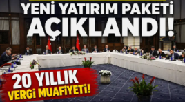 Yeni yatırım paketi, Dev şirketlere 20 yıl vergi muafiyeti…
