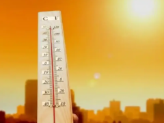 Dünya Meteoroloji Örgütü,küresel sıcaklıkların önümüzdeki 5 yılda rekor seviyelere olması bekleniyor