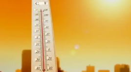 Dünya Meteoroloji Örgütü,küresel sıcaklıkların önümüzdeki 5 yılda rekor seviyelere olması bekleniyor