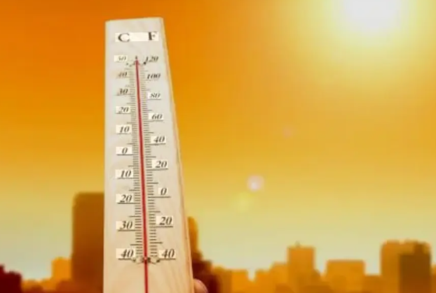 Dünya Meteoroloji Örgütü,küresel sıcaklıkların önümüzdeki 5 yılda rekor seviyelere olması bekleniyor