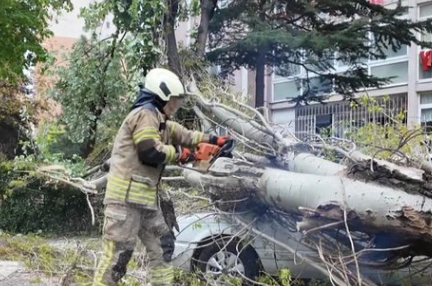 Beylikdüzü’nde 10 METRELİK AĞAÇ OTOMOBİLİN ÜZERİNE DEVRİLDİ