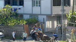 Esenyurt’ta kaçak kurban kesenlere ceza …