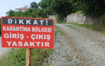 Aydın’da şap alarmı!