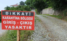 Aydın’da şap alarmı!