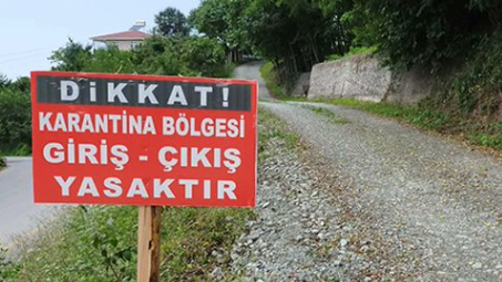 Aydın’da şap alarmı!