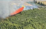 Antalya’da orman yangını…