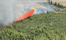 Antalya’da orman yangını…