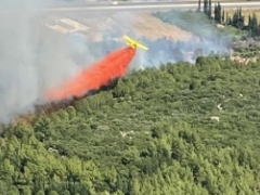Antalya’da orman yangını…