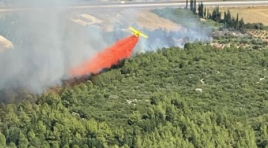 Antalya’da orman yangını…