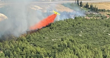 Antalya’da orman yangını…