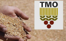 Toprak Mahsulleri Ofisi 2026 yılı hububat alım ve satış fiyatlarını açıkladı