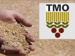 Toprak Mahsulleri Ofisi  2026 yılı hububat alım ve satış fiyatlarını açıkladı