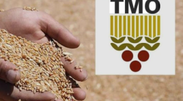 Toprak Mahsulleri Ofisi  2026 yılı hububat alım ve satış fiyatlarını açıkladı