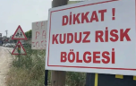 Van Edremit’te ‘kuduz’ alarmı…