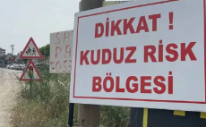Van Edremit’te ‘kuduz’ alarmı…