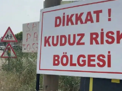 Van Edremit’te ‘kuduz’ alarmı…