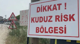 Van Edremit’te ‘kuduz’ alarmı…