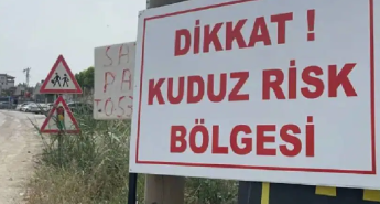 Van Edremit’te ‘kuduz’ alarmı…