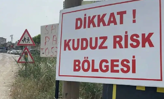 Van Edremit’te ‘kuduz’ alarmı…