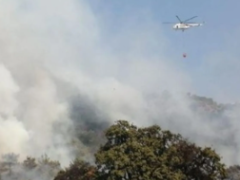 Antalya Kaş’ta orman yangını!